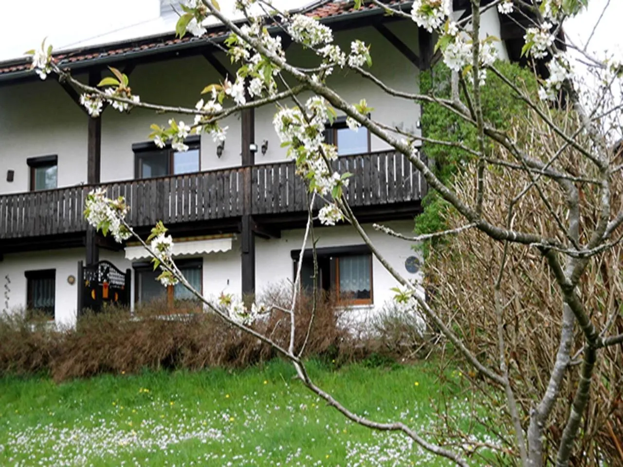 Apartment Ferienwohnung Kraus Langdorf